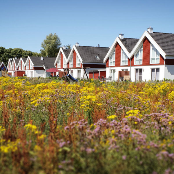 Ferienhaus Seepark Nordhorn